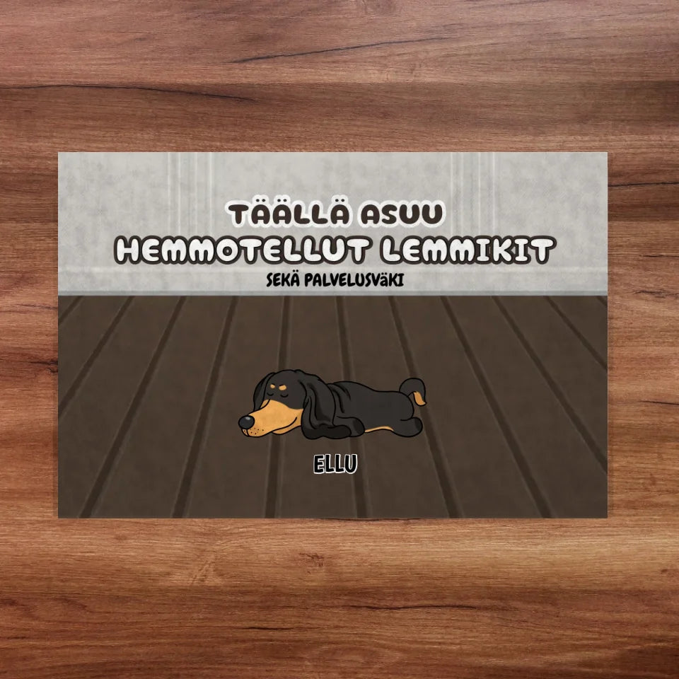 Nimetön malli - 2024-09-12T131510.444