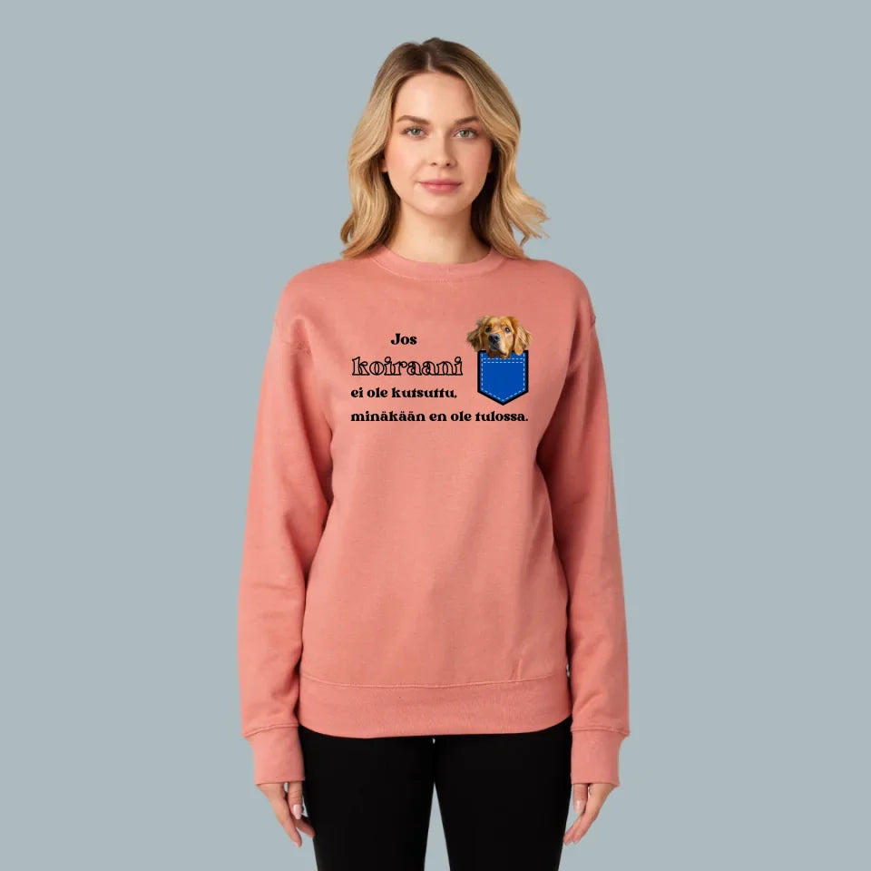 Nimetön malli - 2024-11-04T181558.092