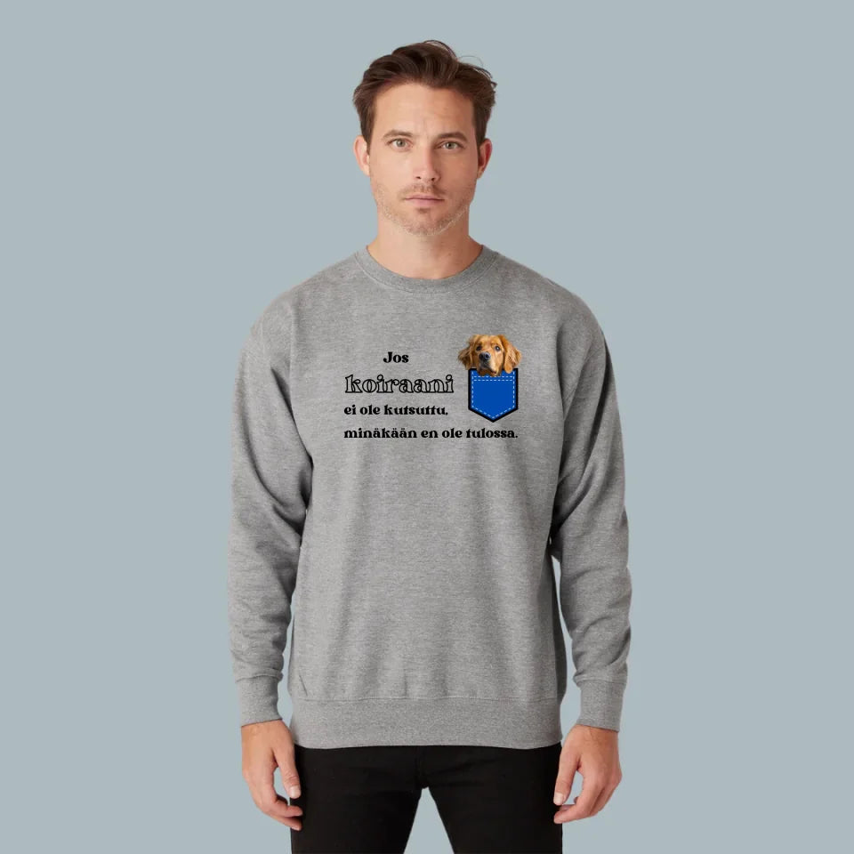 Nimetön malli - 2024-11-04T181607.008