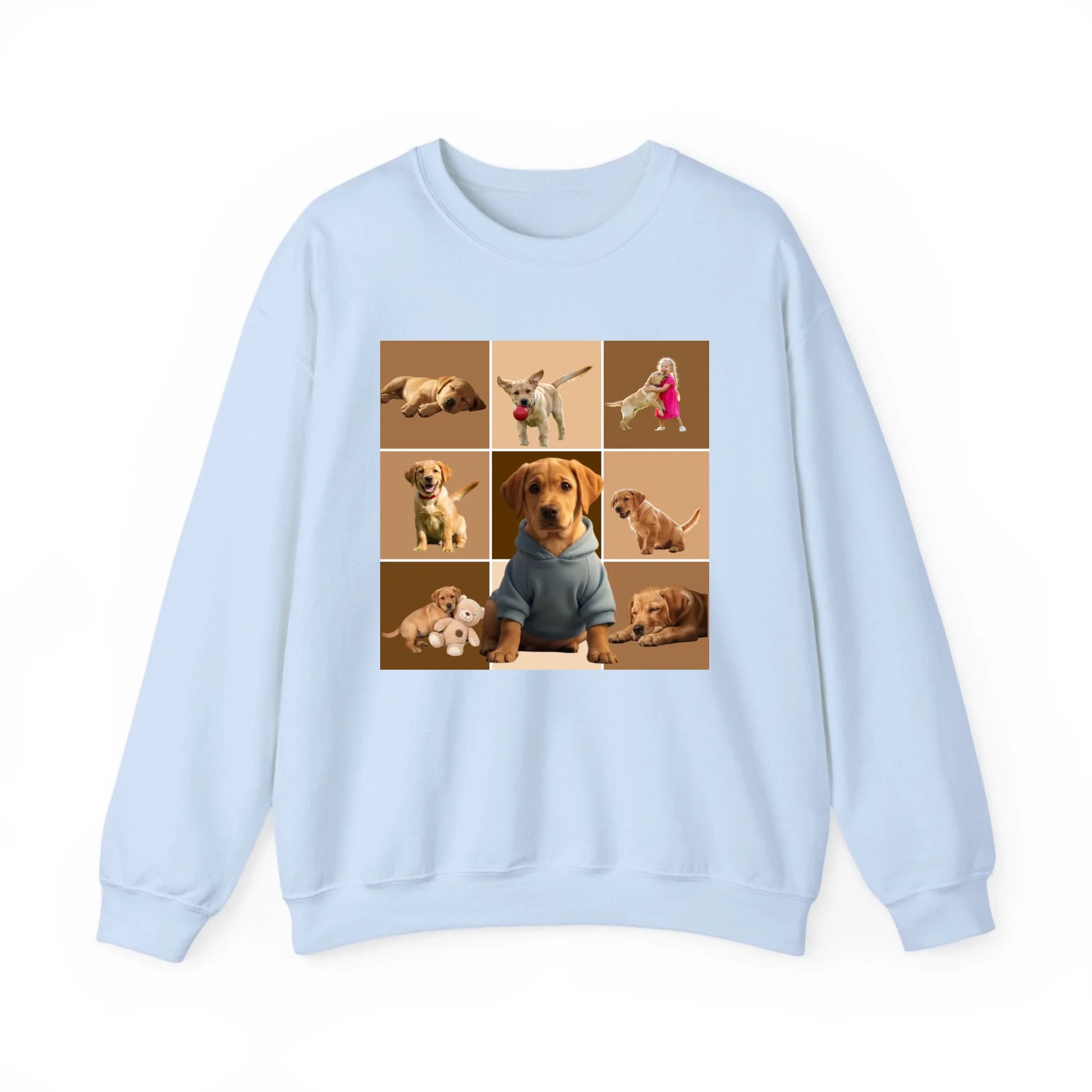 Sweatshirt_Front_Light Blue