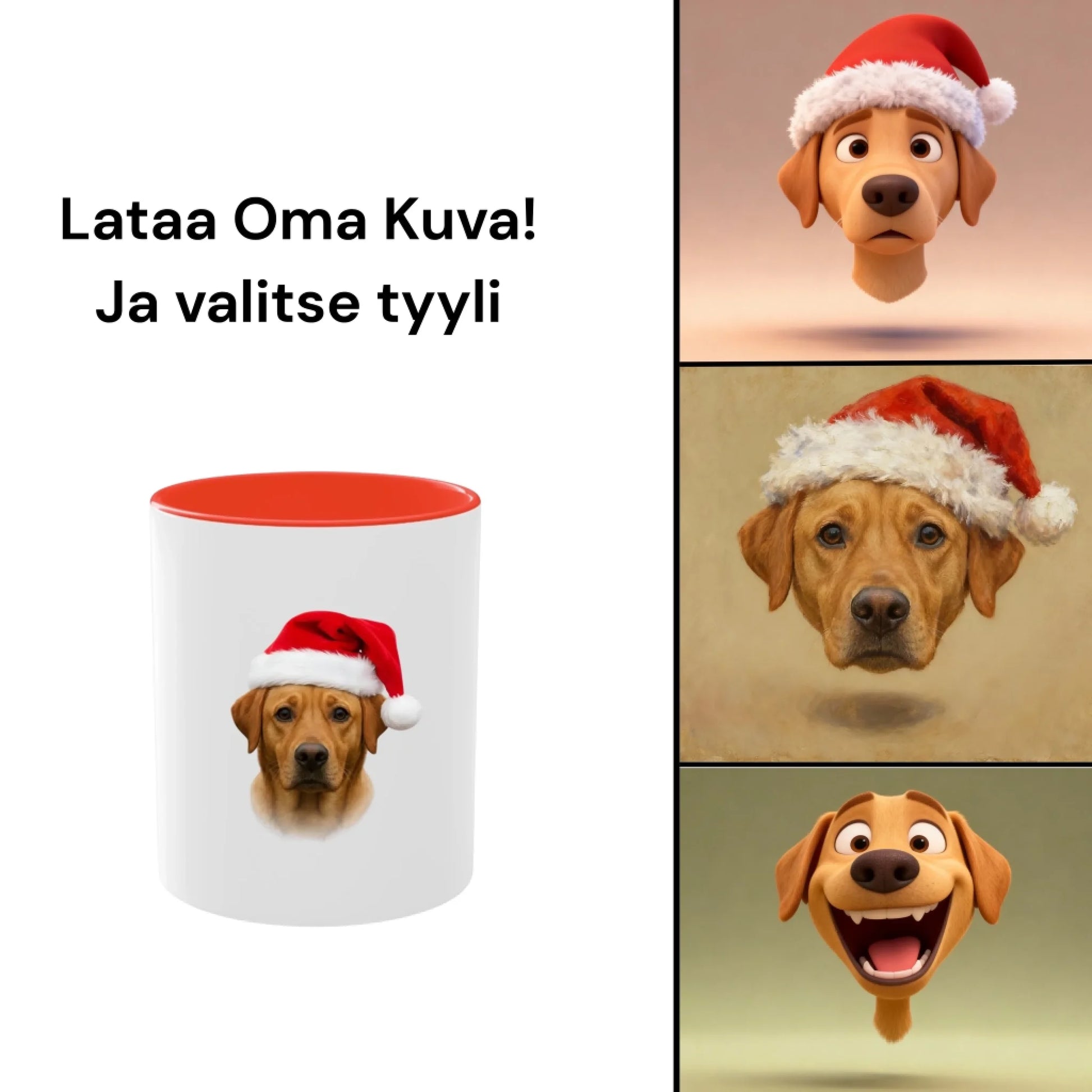 Lataa Oma Kuva! (4)