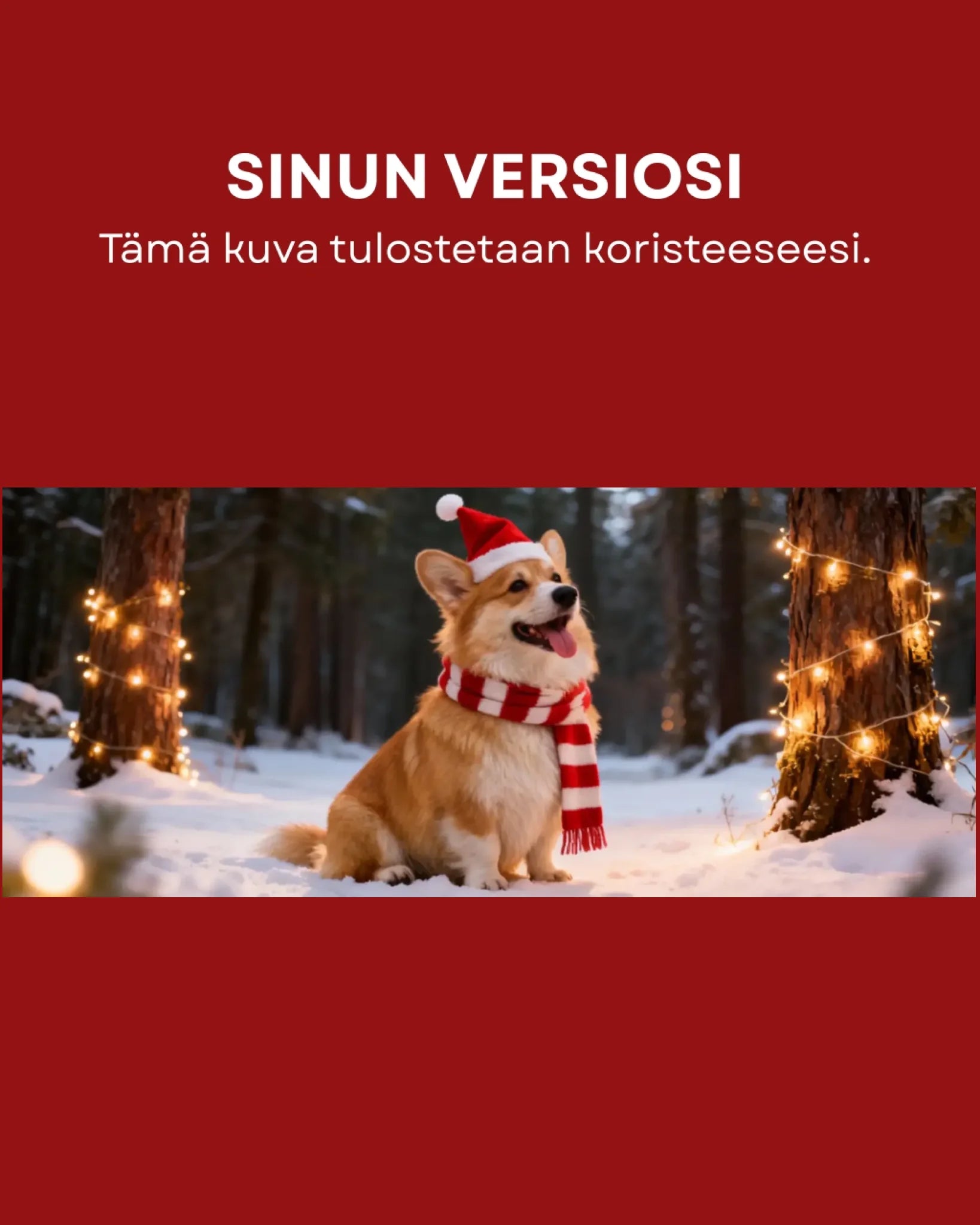 Tämä kuva tulostetaan koristeeseesi.