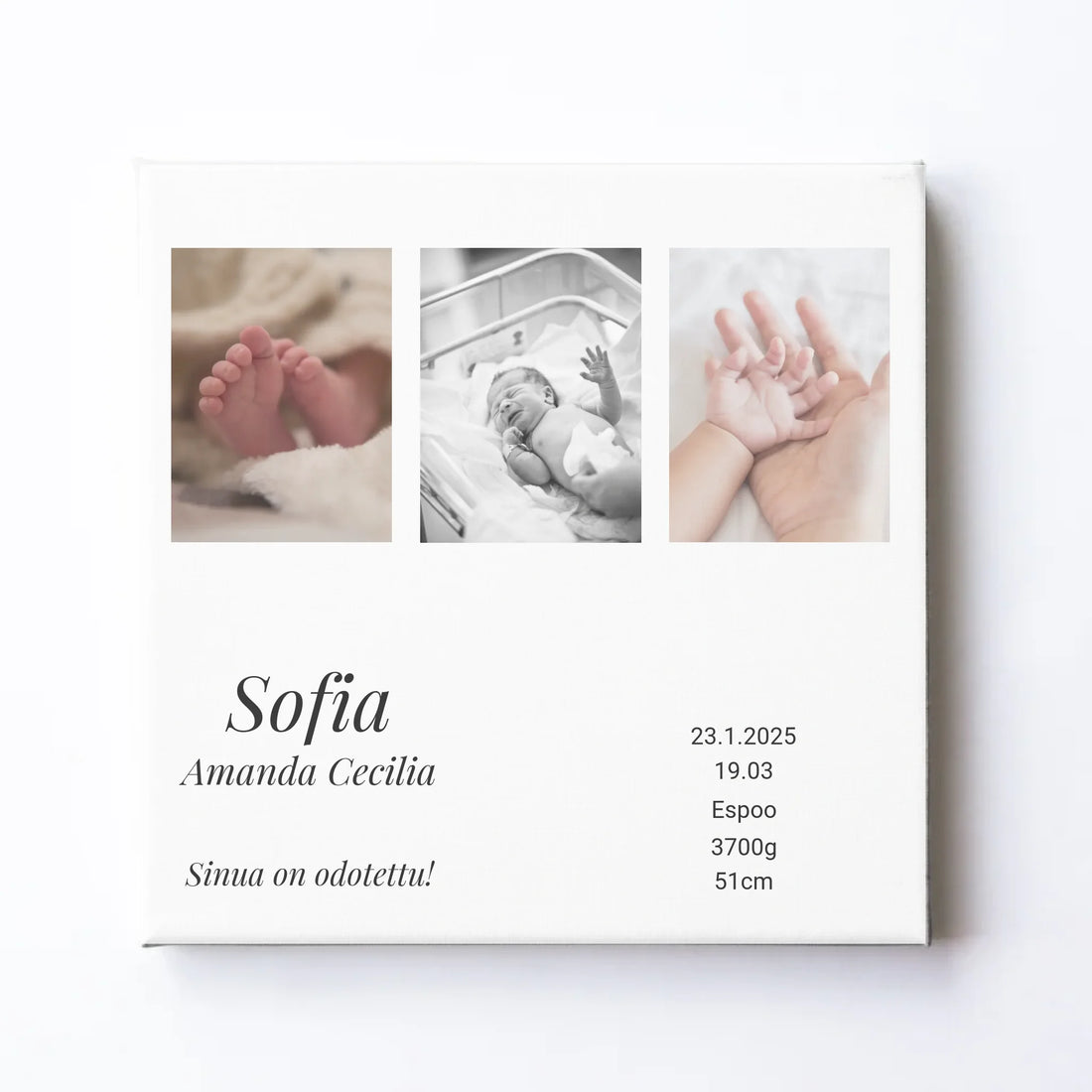 Nimetön malli - 2025-01-30T132528.028