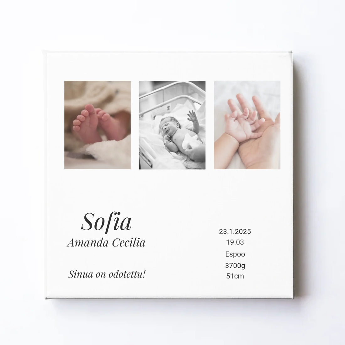 Nimetön malli - 2025-01-30T132528.028